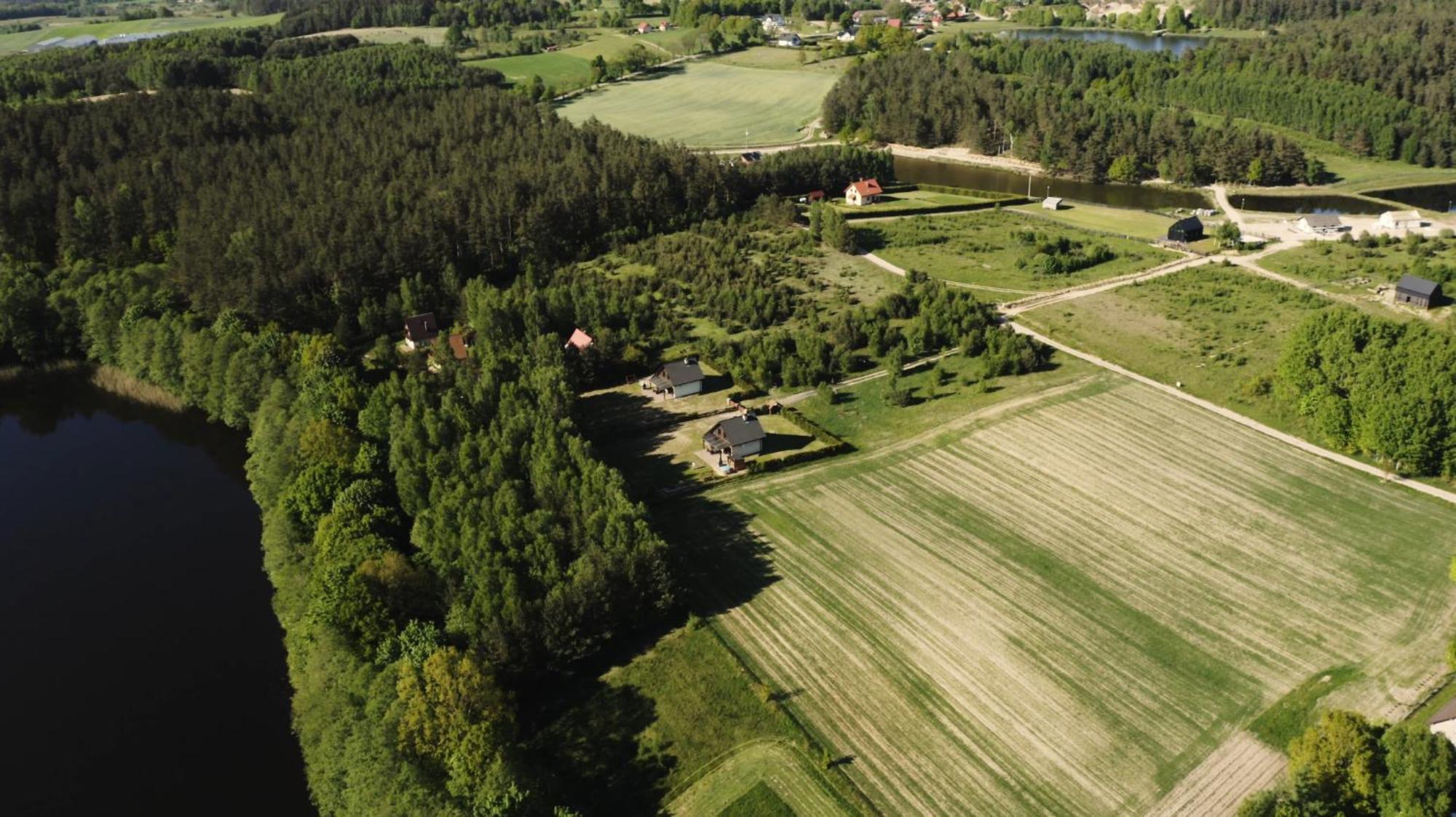 Kaszubdomki *
